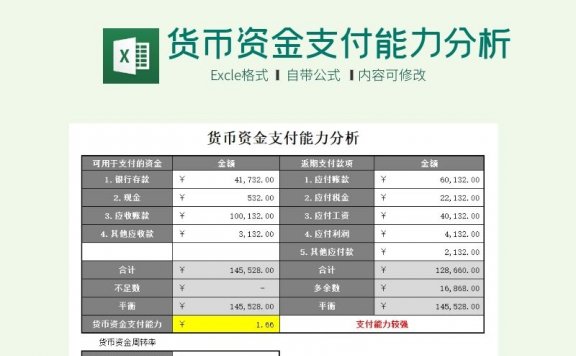 货币资金支付能力分析表Excel模板下载