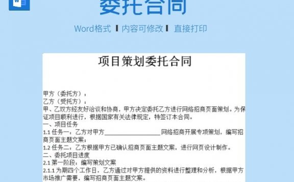 项目策划委托合同